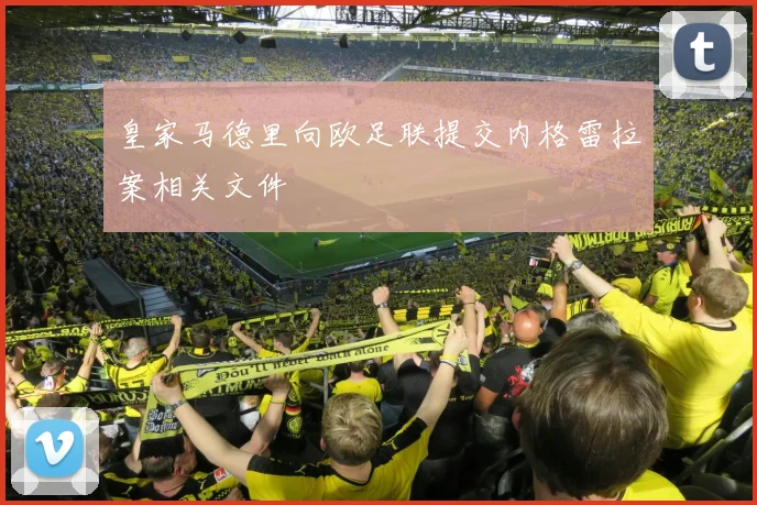皇家马德里向欧足联提交内格雷拉案相关文件