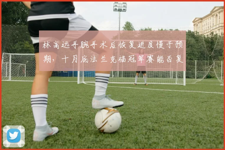 林高远手腕手术后恢复进度慢于预期，十月底法兰克福冠军赛能否复出？